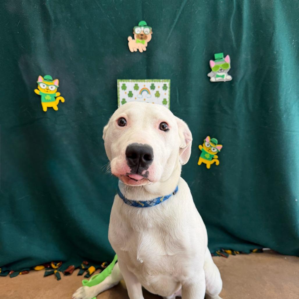 Sprite — thumbnail 2