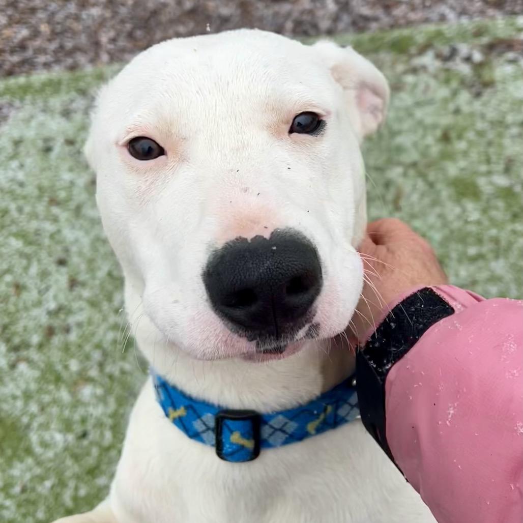 Sprite — thumbnail 3