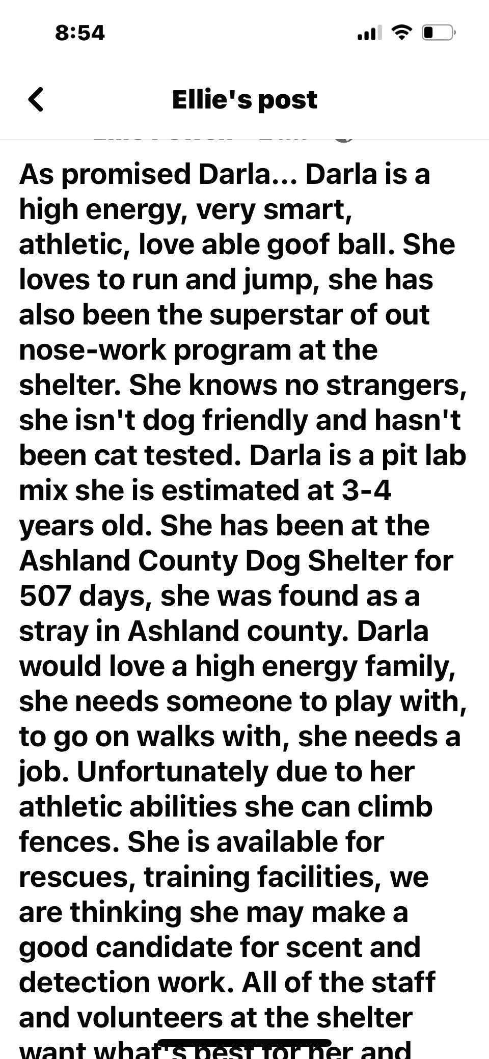 Darla, a Adoptable mixed breed in Ashland, OH image 5/9