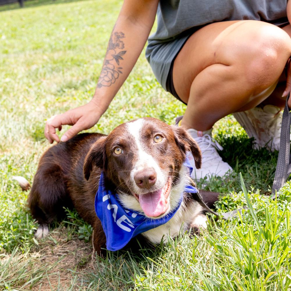 Echo (Female)   Avail  8/23