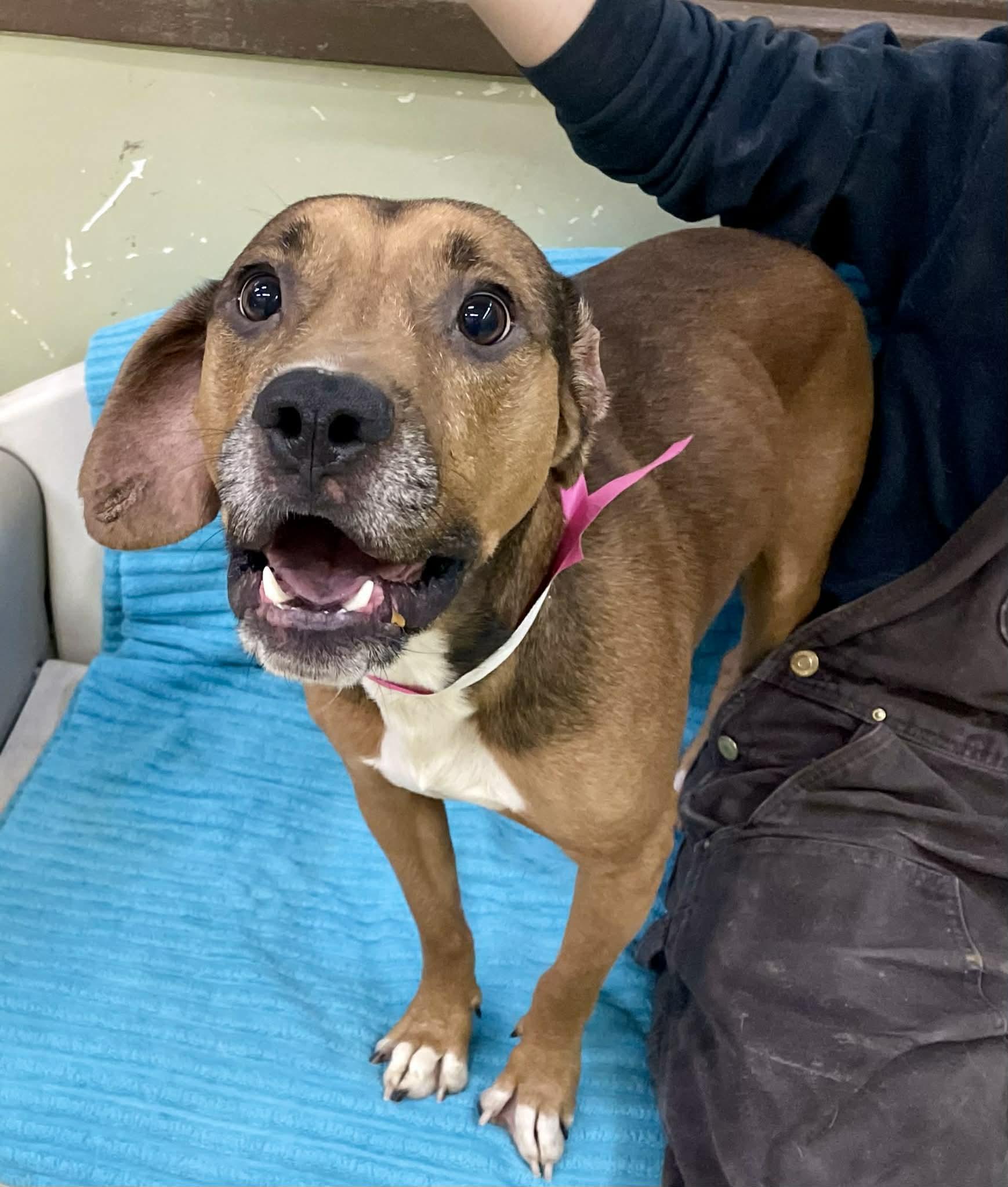 Conner — thumbnail 2