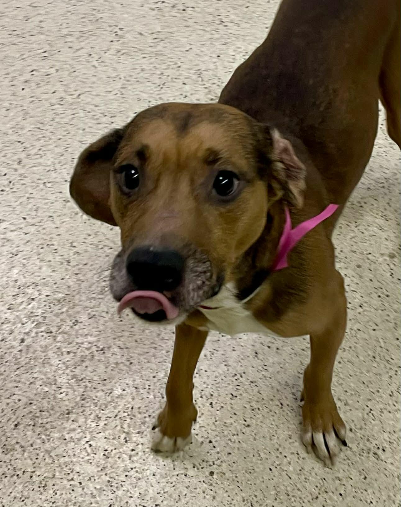 Conner — thumbnail 4