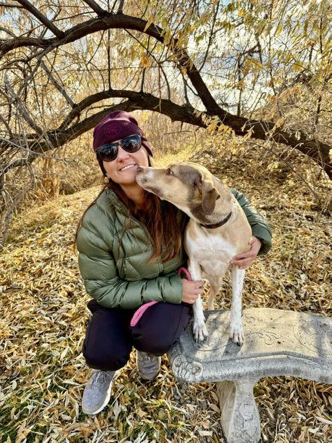 Olive M, a Adoptable Australian Cattle Dog / Blue Heeler in Salt Lake City, UT image 2/3