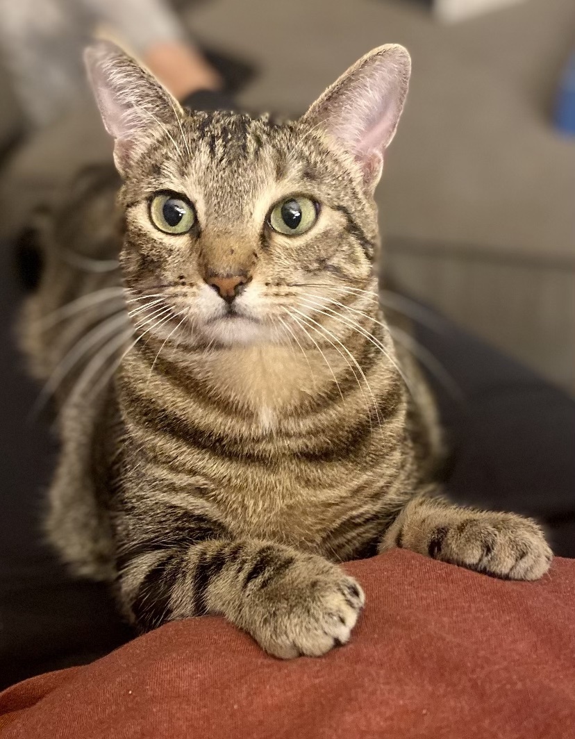 Cleo