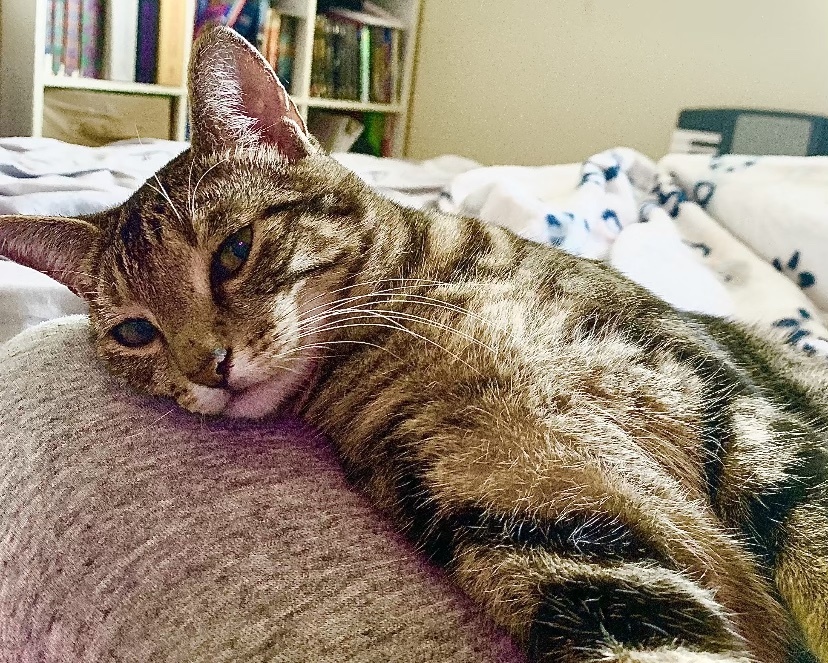 Cleo thumbnail 3
