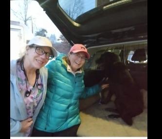 Enlarge Rocky, a Adopted Labrador Retriever in Crossville, TN image 6/6