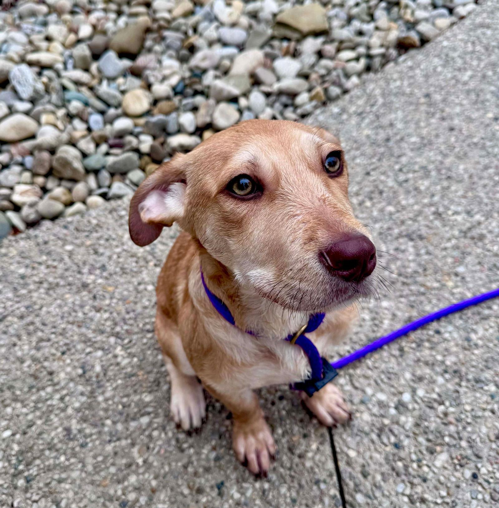 Grubby — thumbnail 2