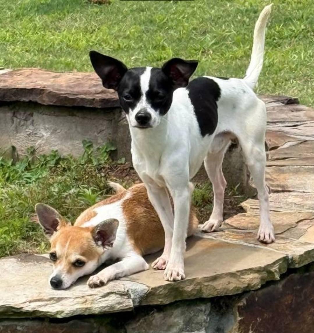Little J & Riley