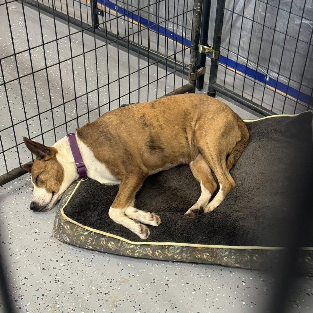 Melinda — thumbnail 3