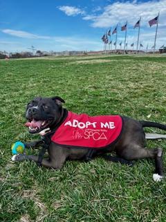 Sabrina — thumbnail 2