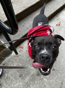 Sabrina — thumbnail 3