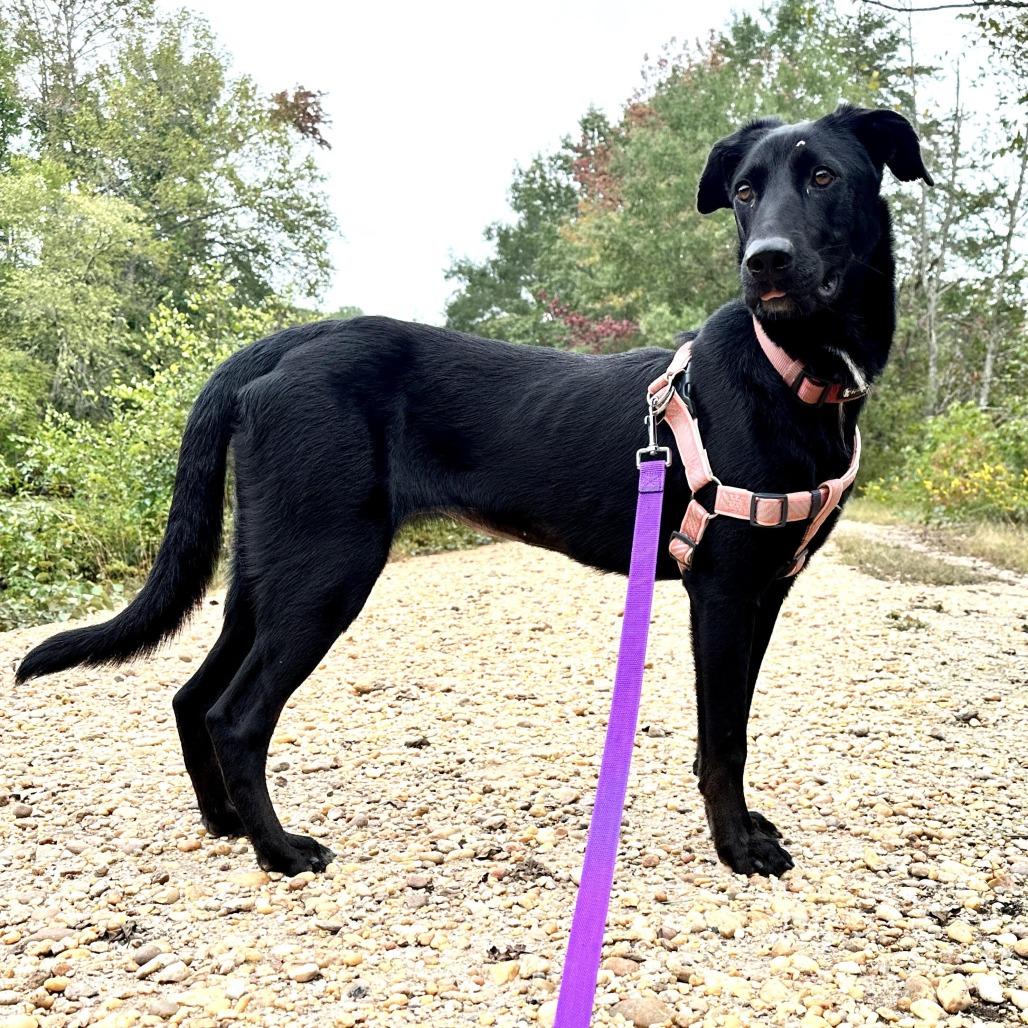 Argo — thumbnail 3