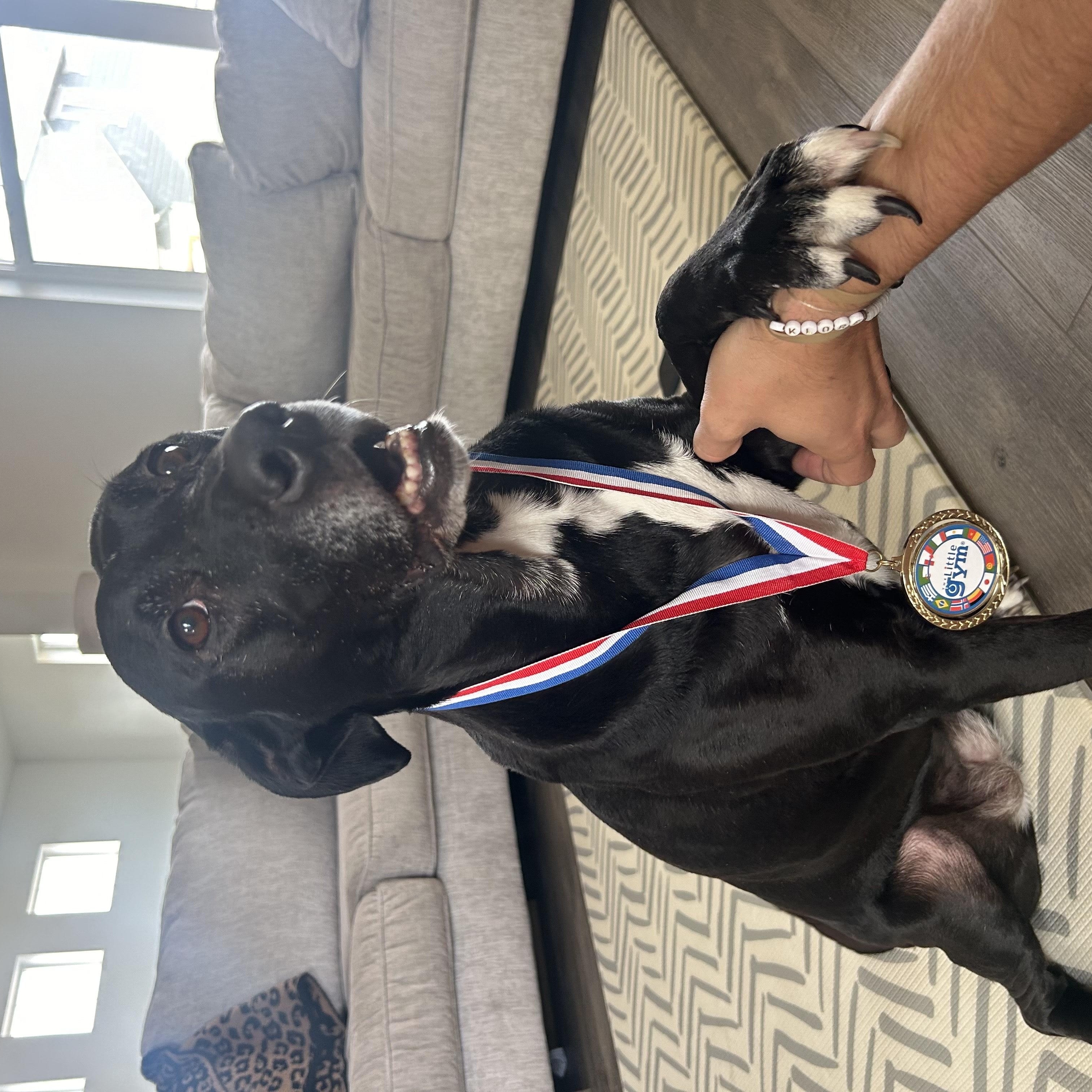 Annie in Colorado, a Adoptable Mixed Breed in Brighton, CO image 5/5