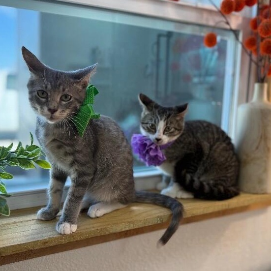 Itty Bitty Baby — thumbnail 2