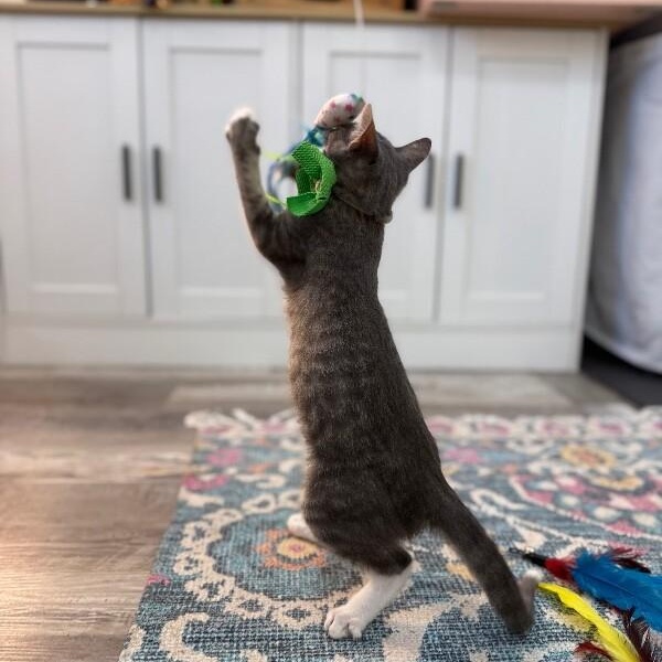 Itty Bitty Baby — thumbnail 5