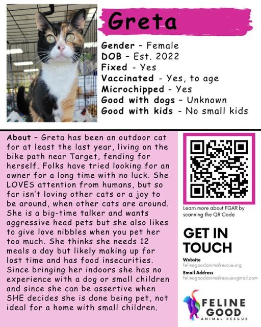 Enlarge Greta, a Adoptable Domestic Short Hair in Eugene, OR image 1/1