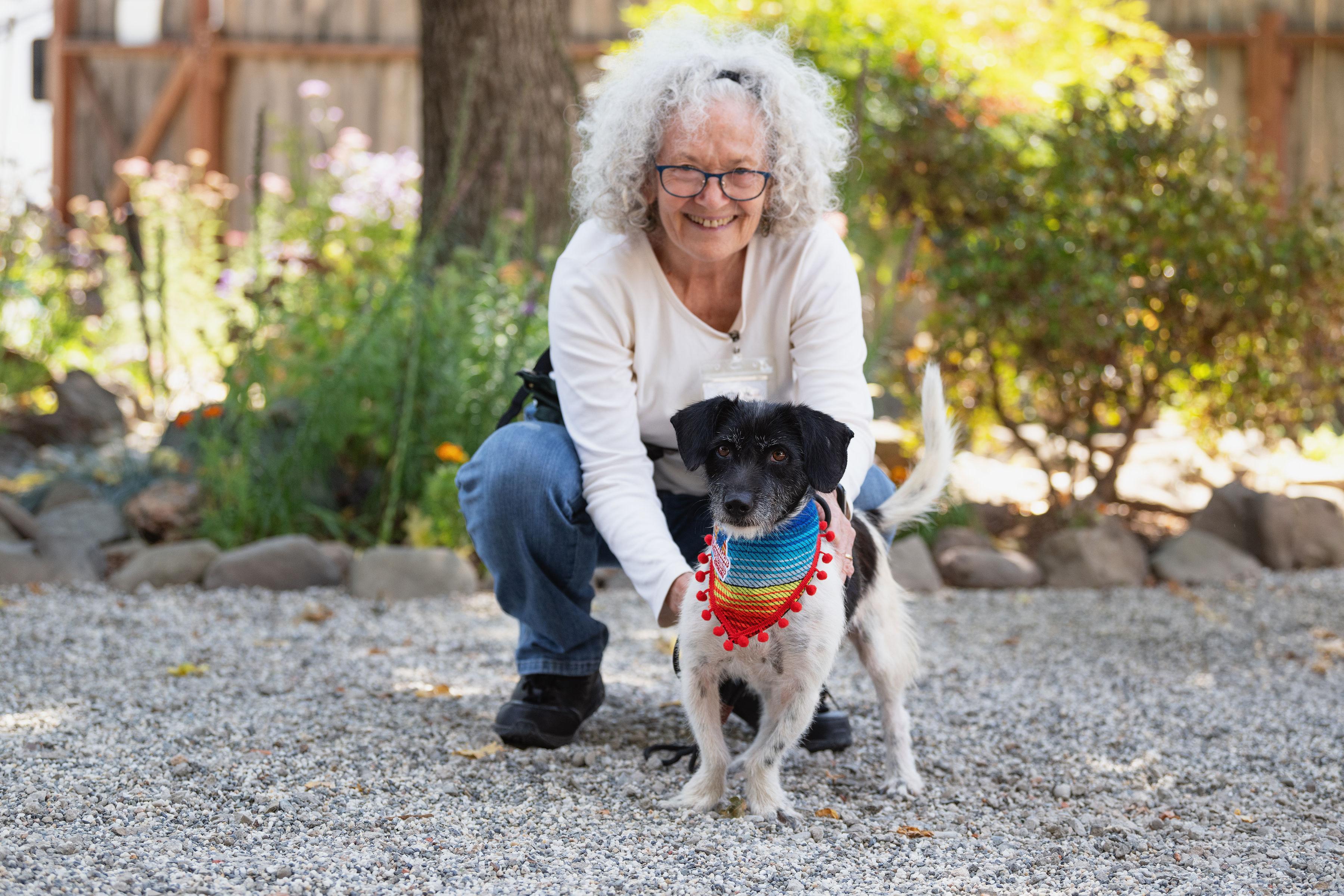 Enlarge Jana, a Adoptable mixed breed in Santa Rosa, CA image 3/3