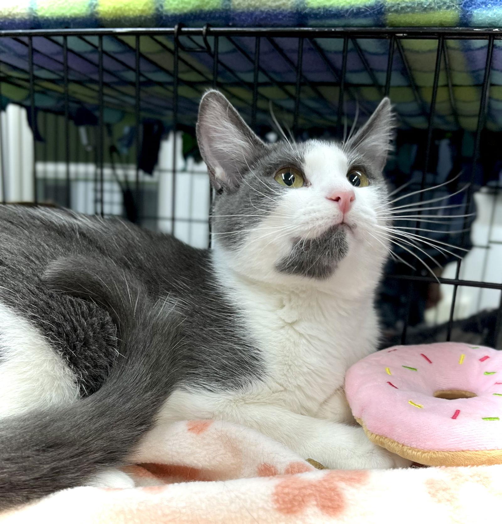 Reeves — thumbnail 3