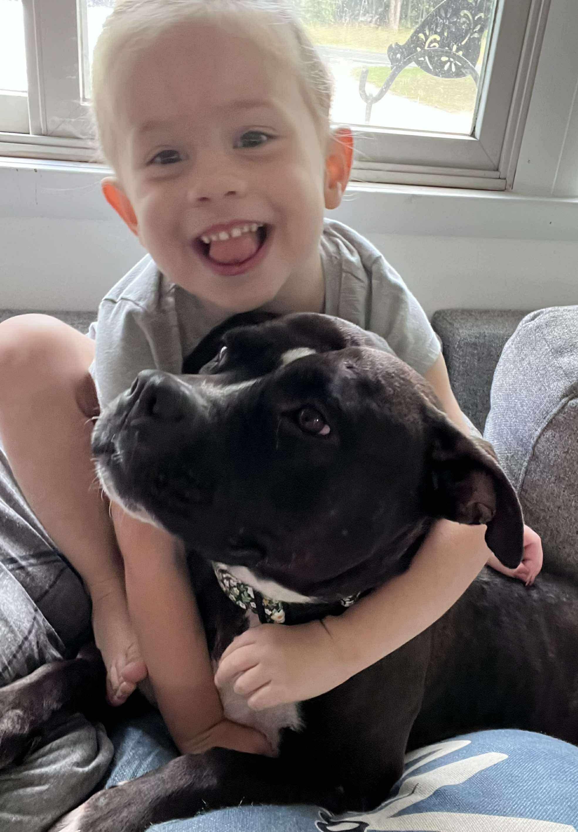 Ladybug, a Adoptable mixed breed in Grand Haven, MI image 2/6