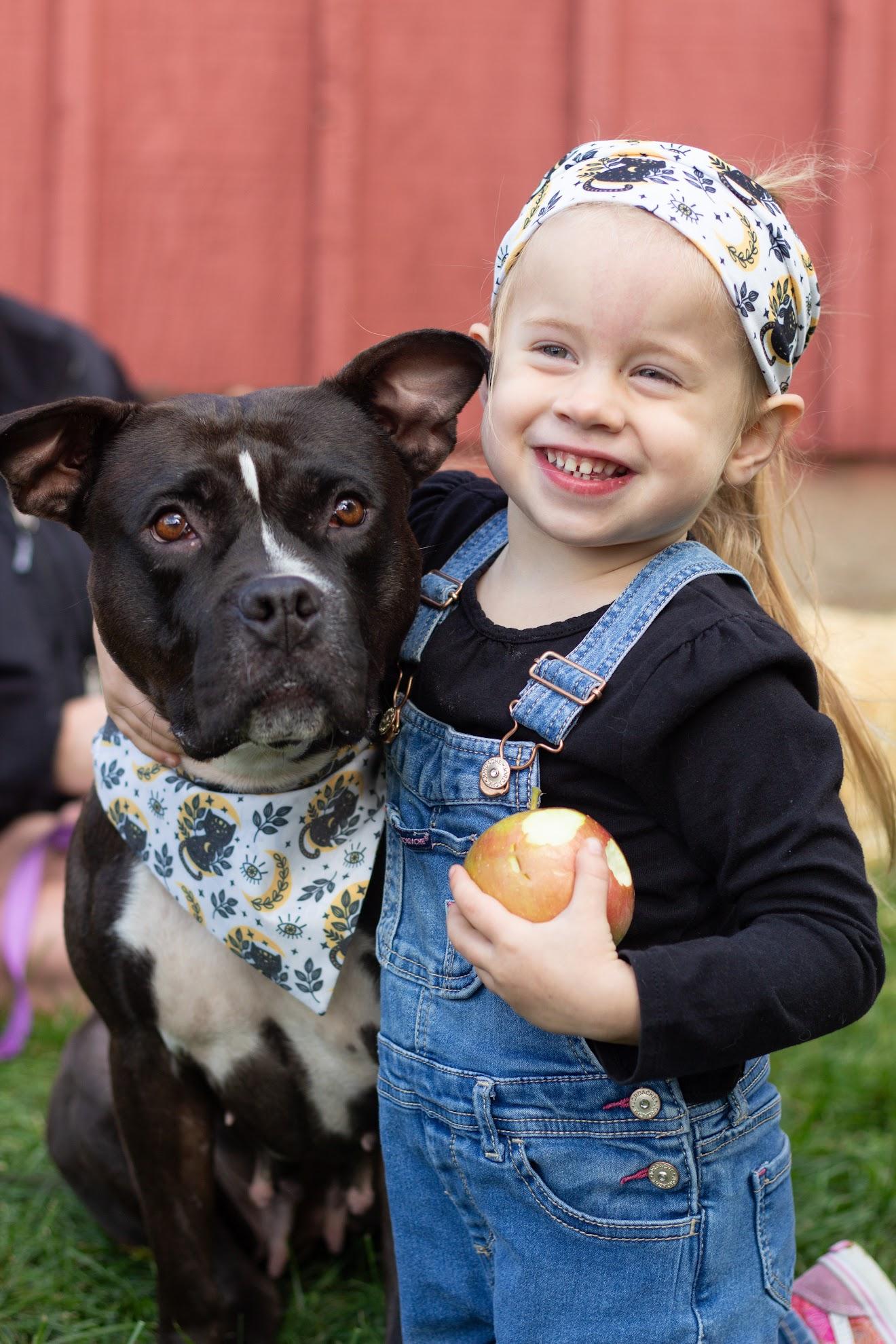 Ladybug, a Adoptable mixed breed in Grand Haven, MI image 1/6
