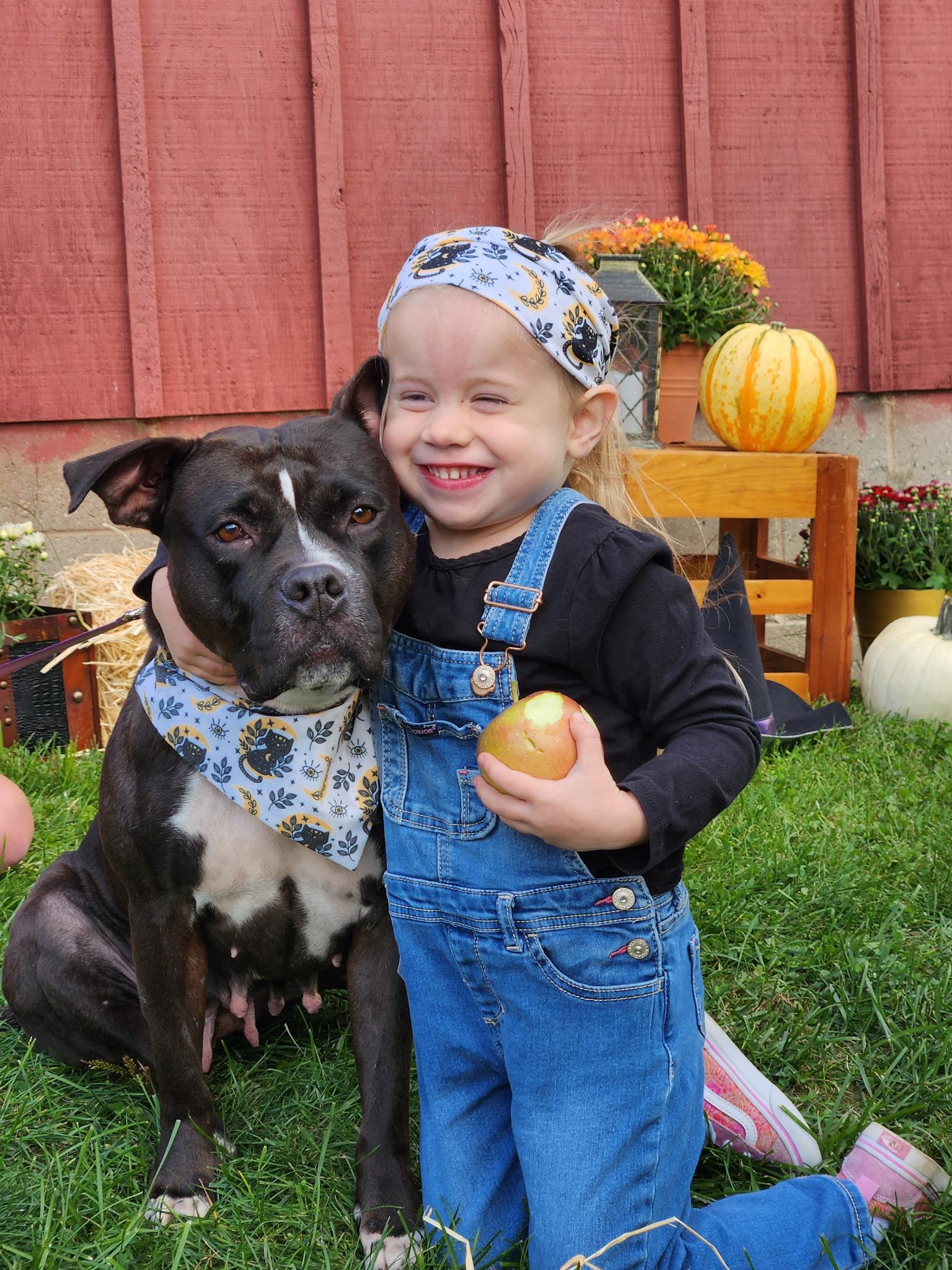 Ladybug, a Adoptable mixed breed in Grand Haven, MI image 6/6