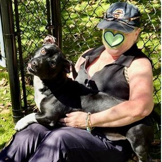 Dudley, a Adoptable mixed breed in St. Petersburg, FL image 2/6