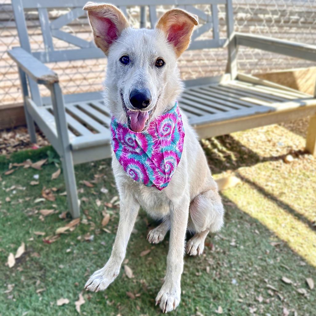 Crinkle Cut — thumbnail 3