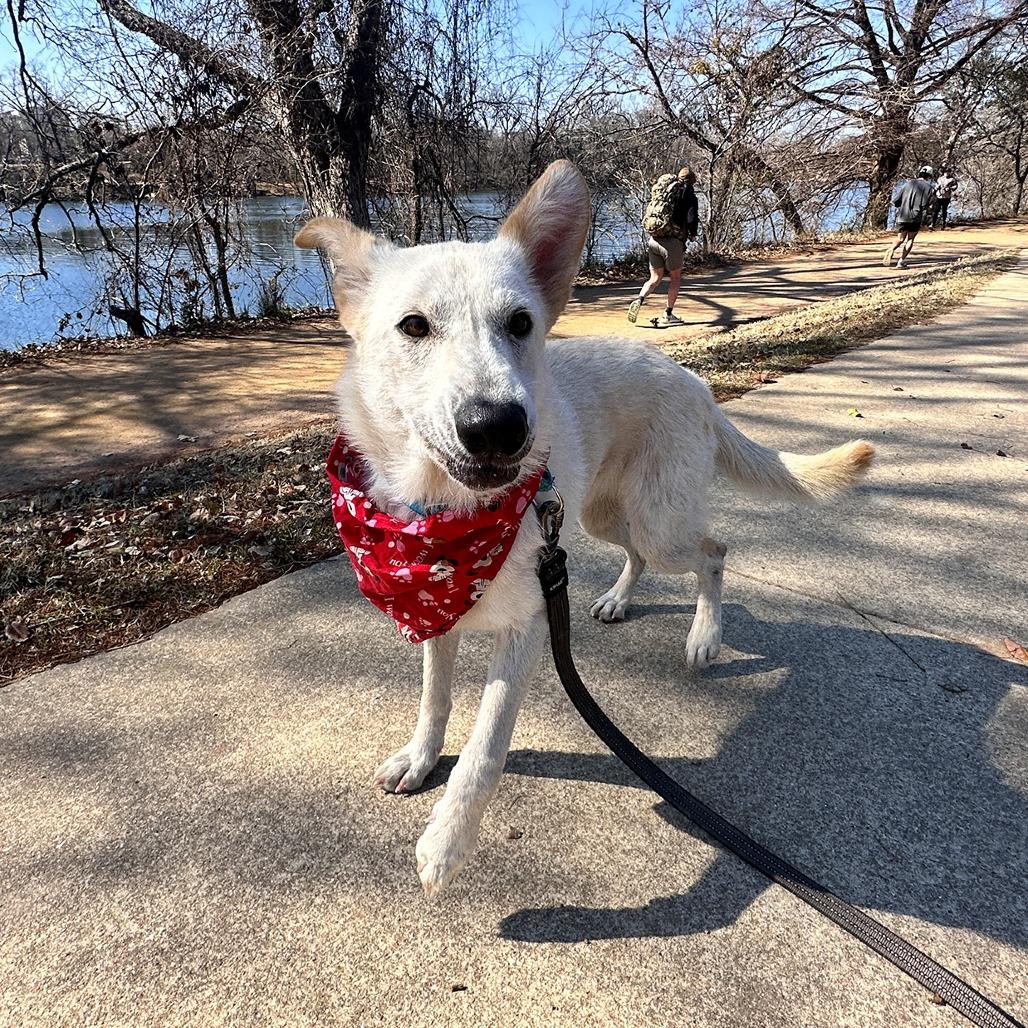 Crinkle Cut — thumbnail 4