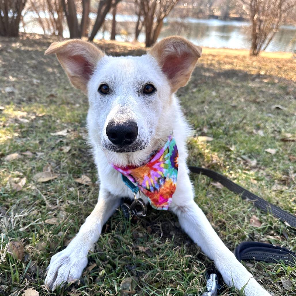 Crinkle Cut — thumbnail 5