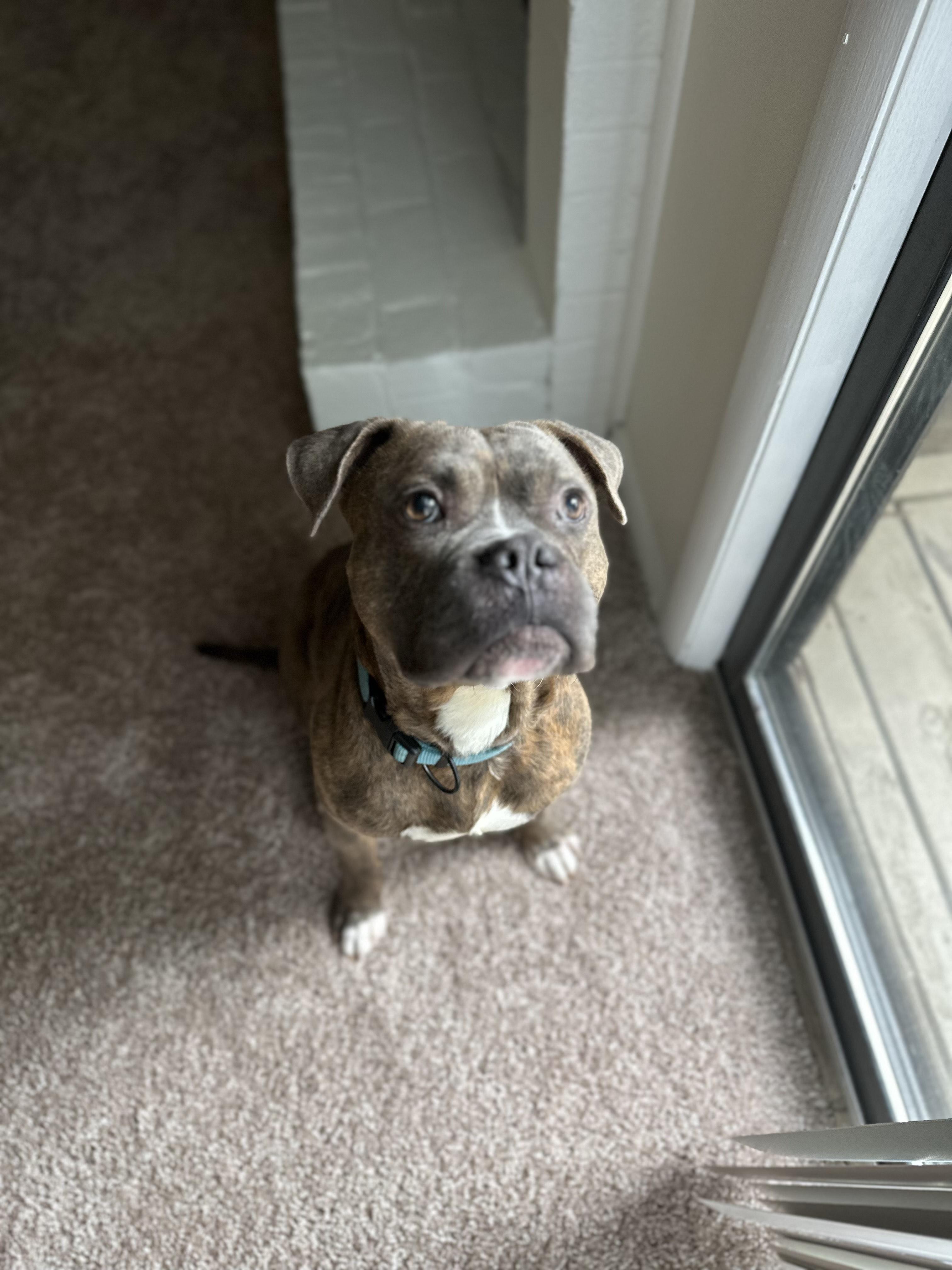 Remi