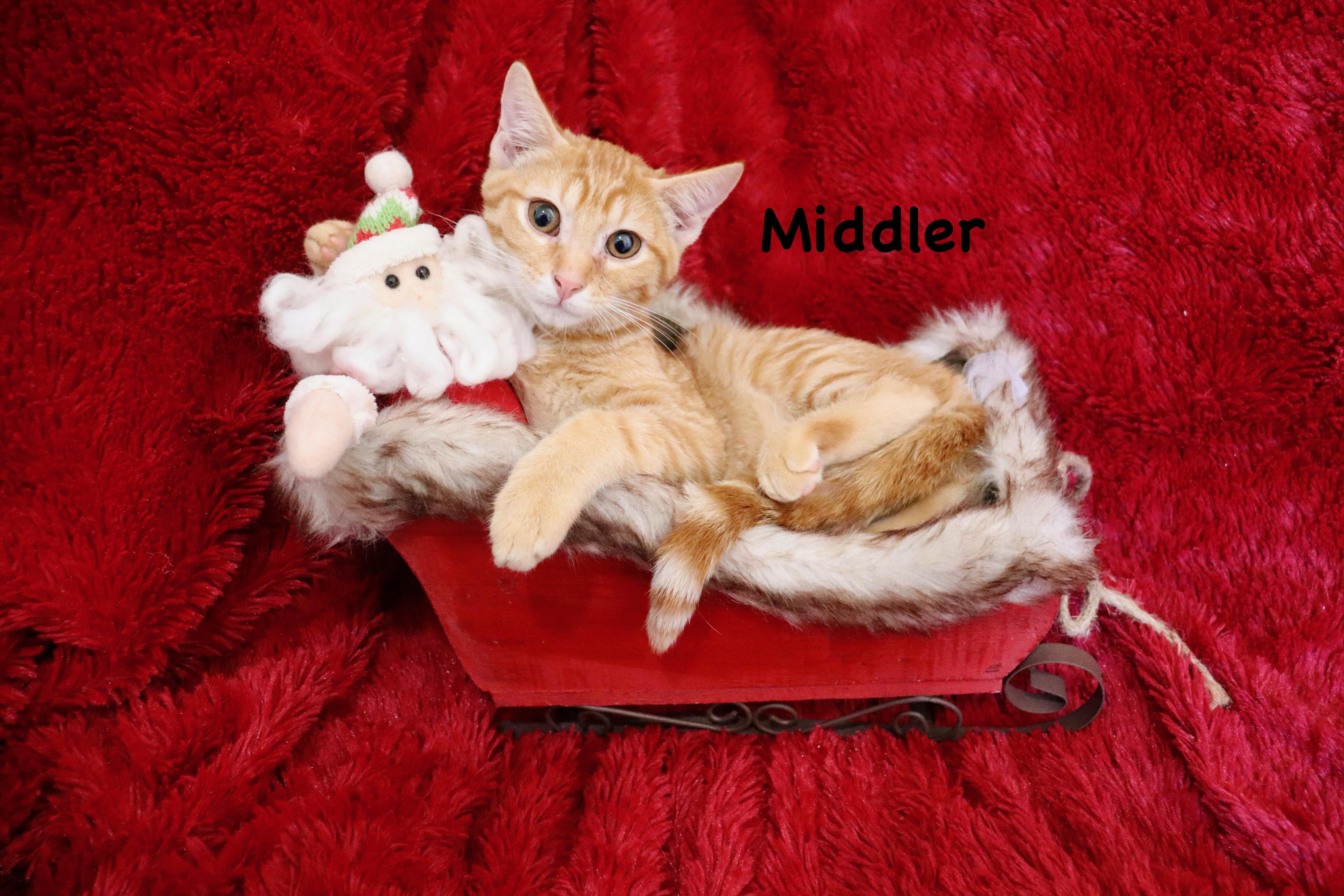 Middler
