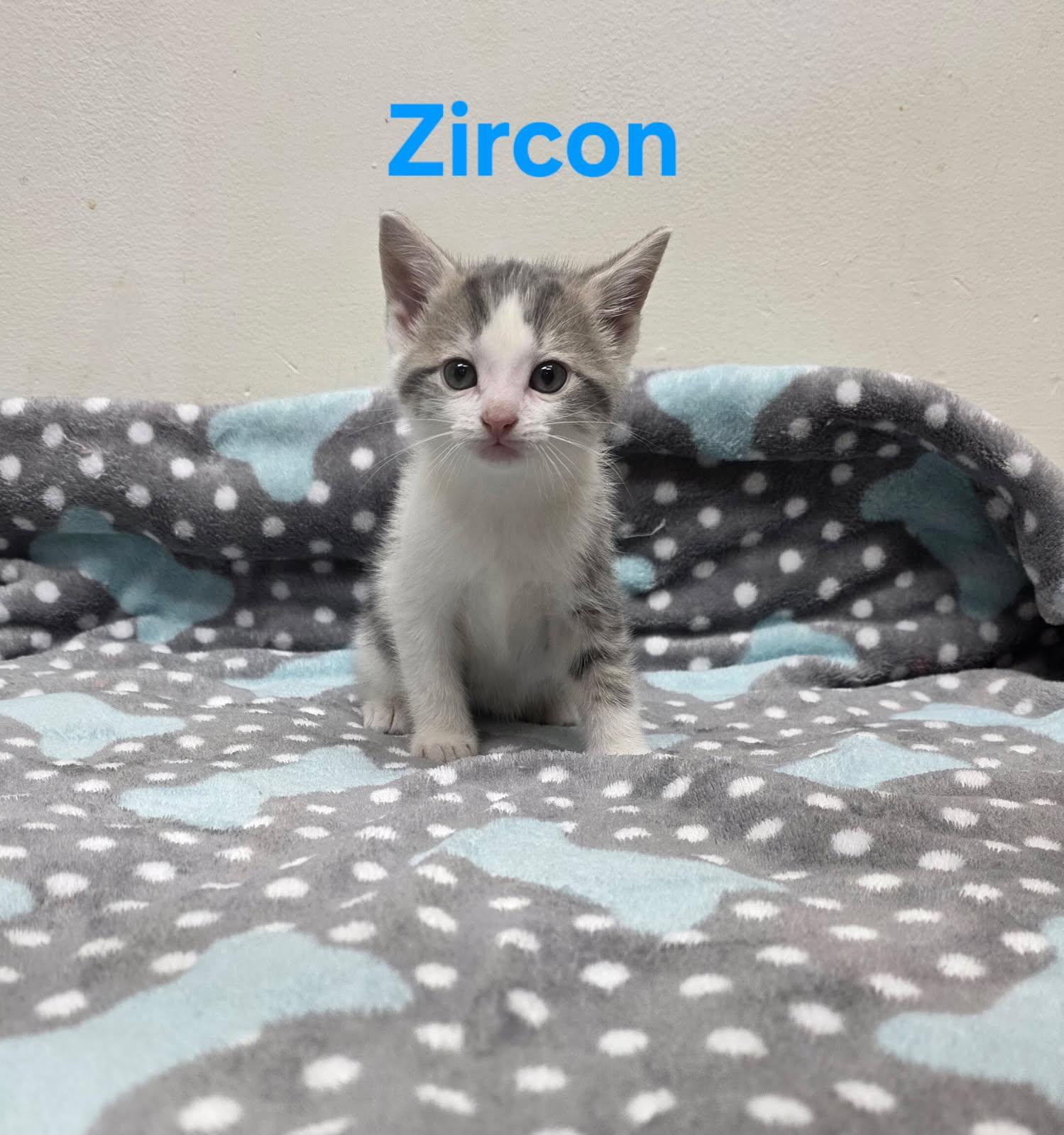 Zircon