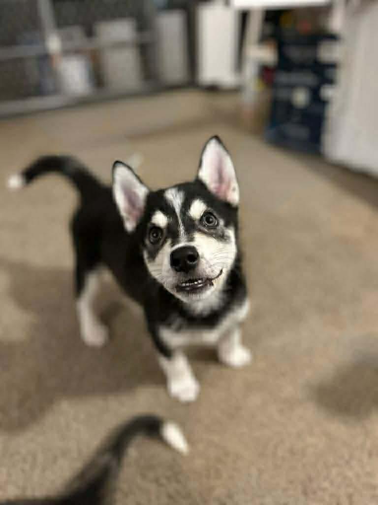 Everest (20251223-06)