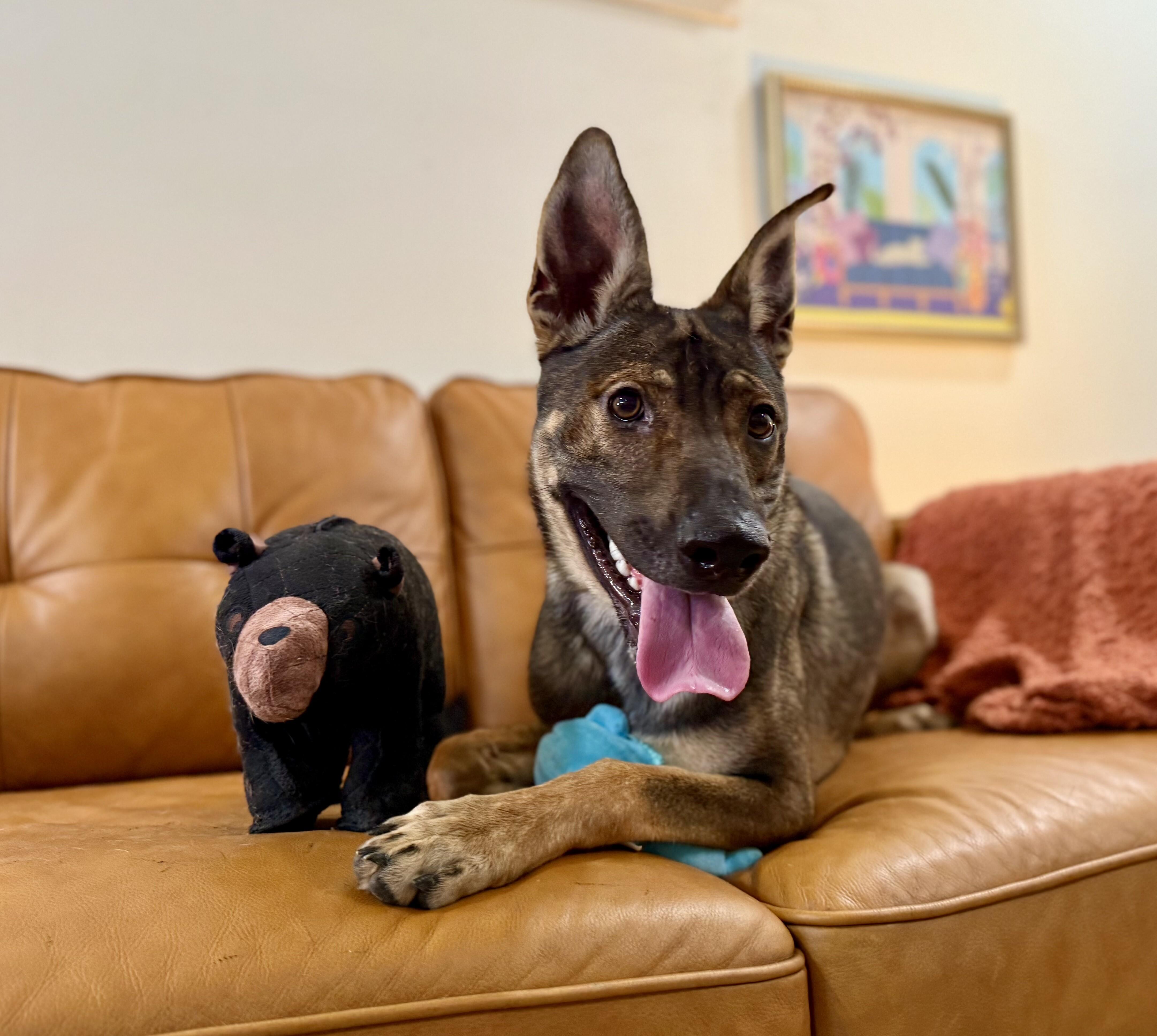 Scuba Steve your Personal Poolside Lover Boy 5