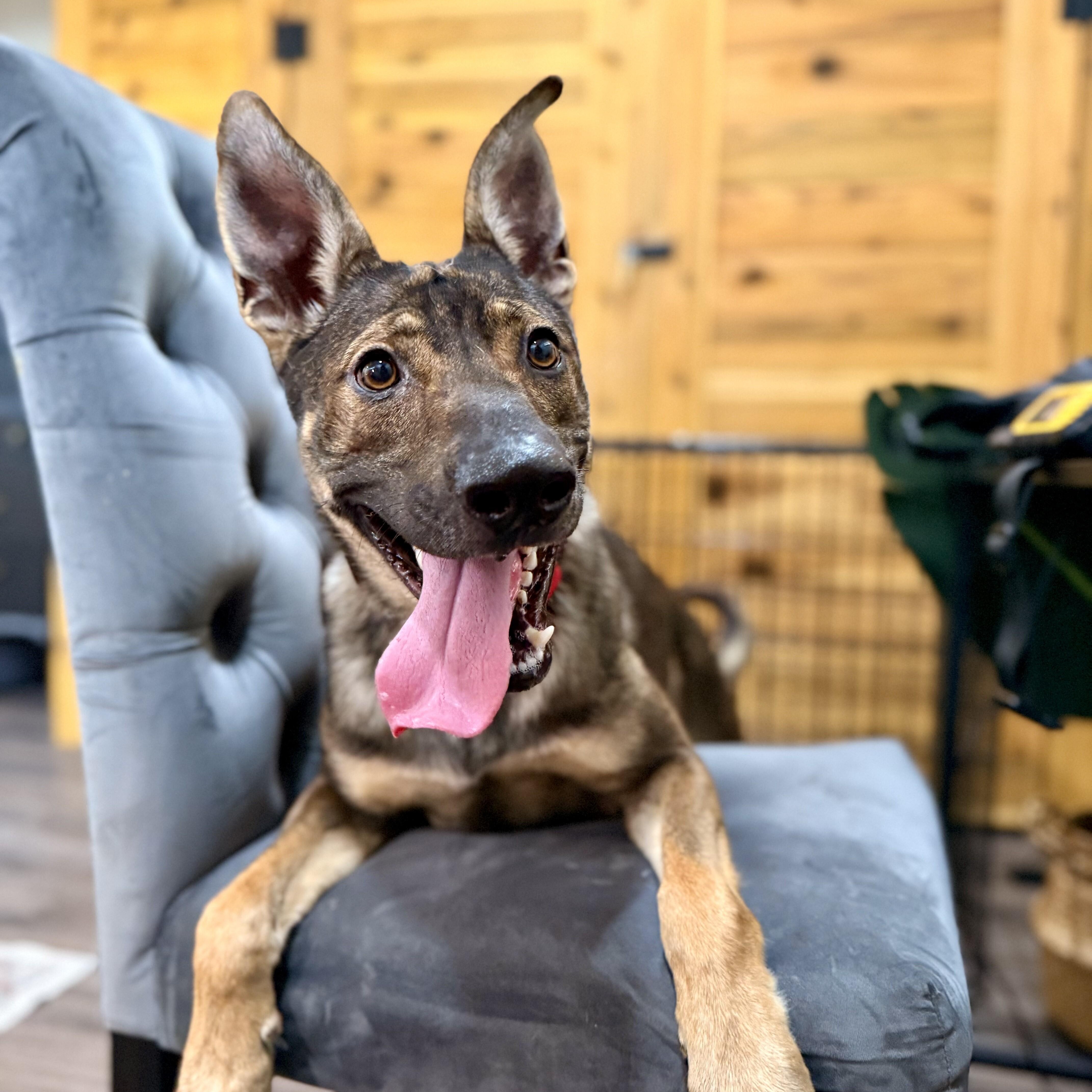 Scuba Steve your Personal Poolside Lover Boy