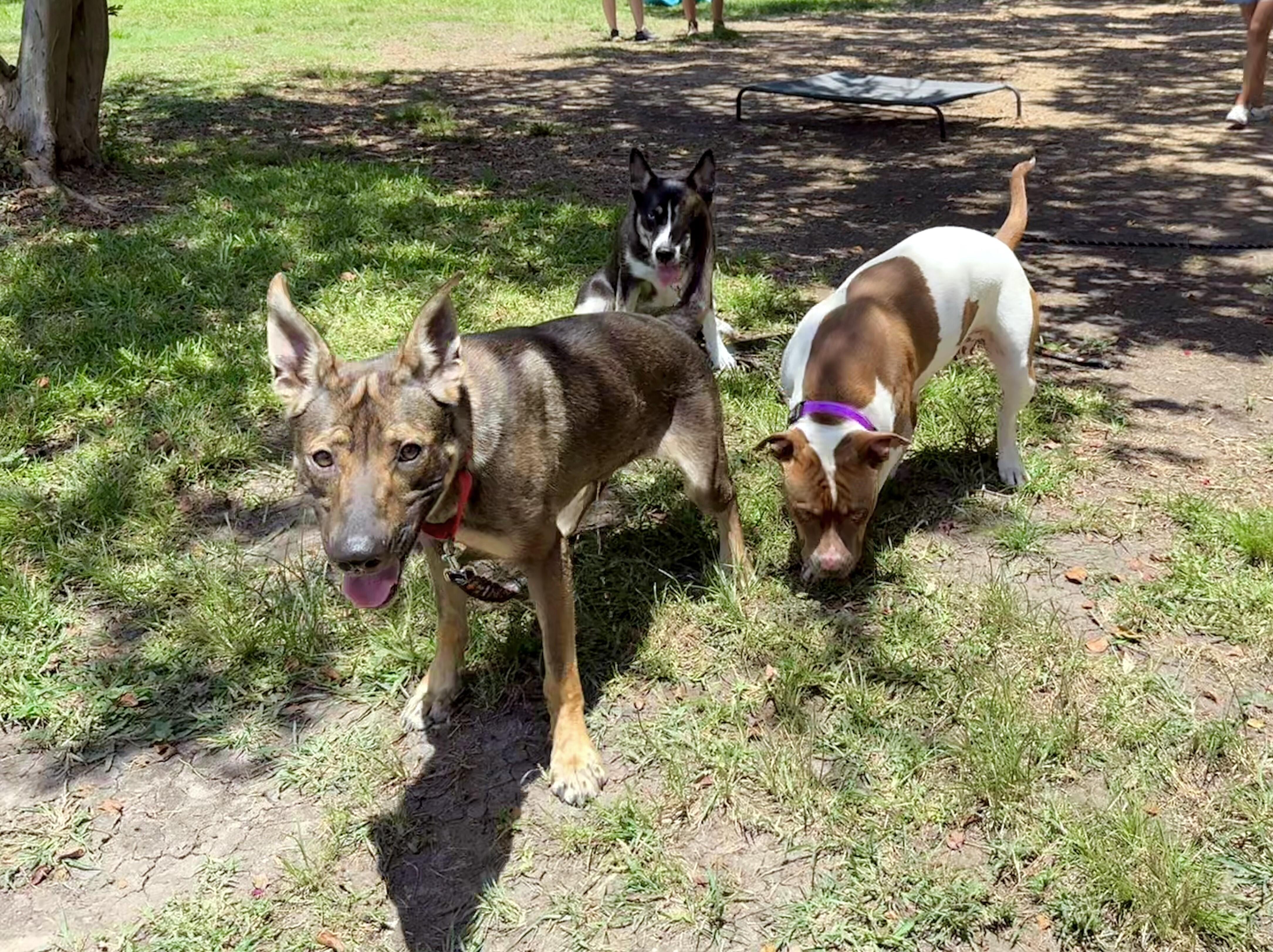 Scuba Steve your Personal Poolside Lover Boy 4