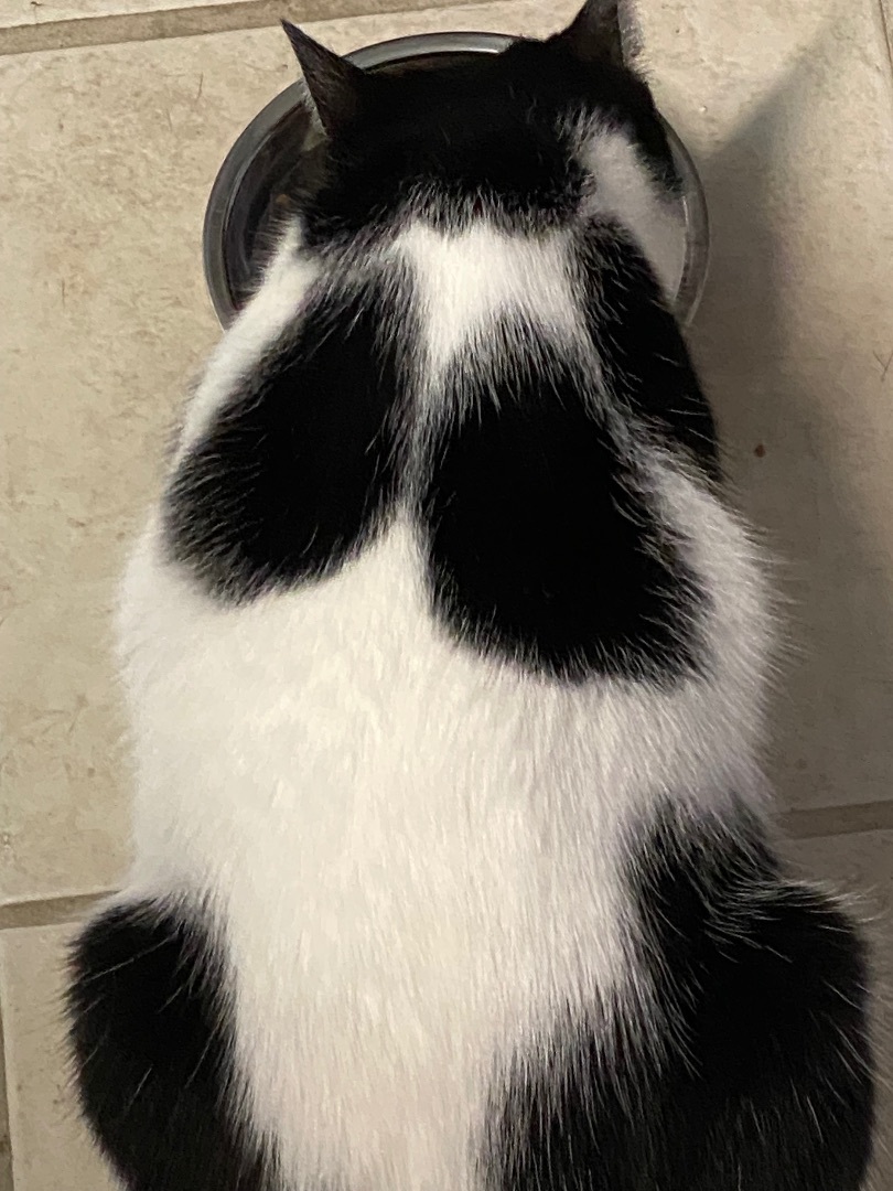 BEANS photo 2