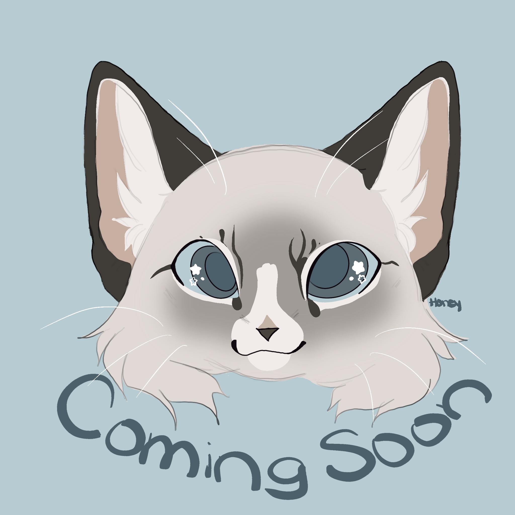 Enlarge Faye, a Adoptable mixed breed in Bedford, VA image 1/1