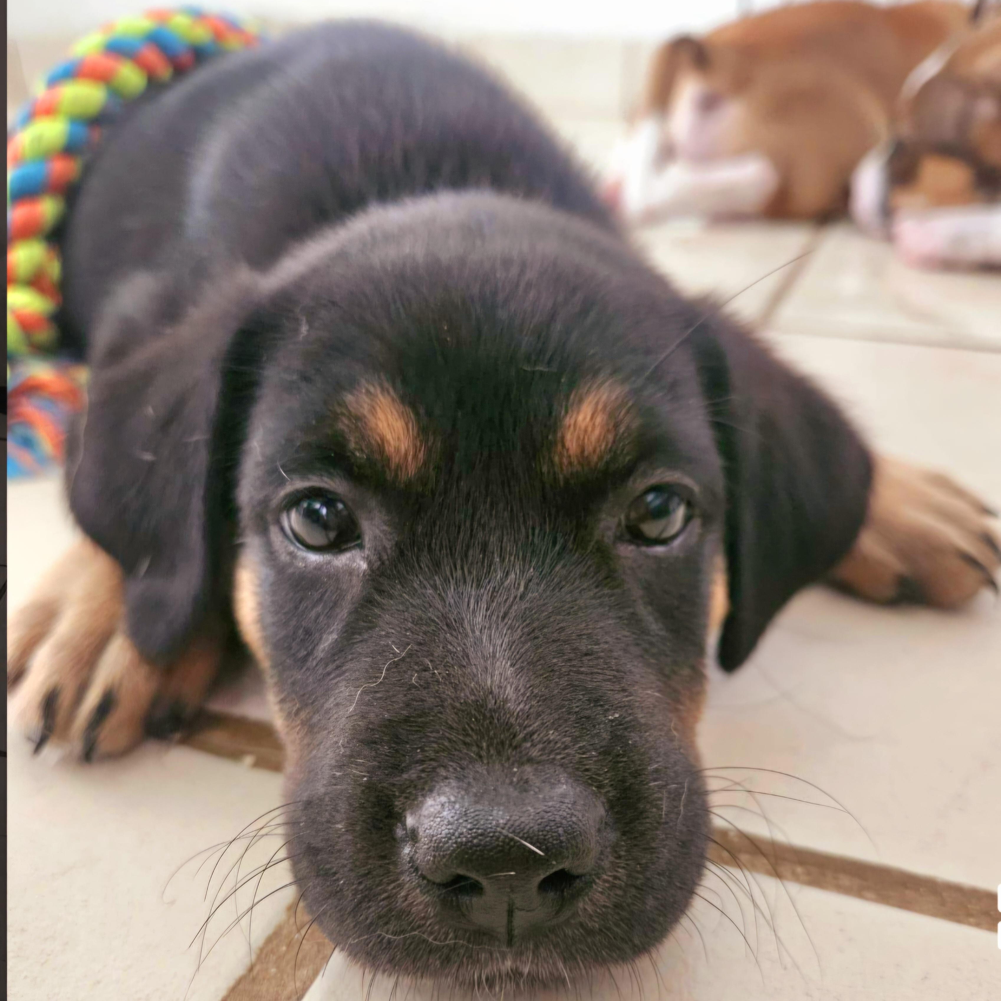 Xena "super Cuddler!"