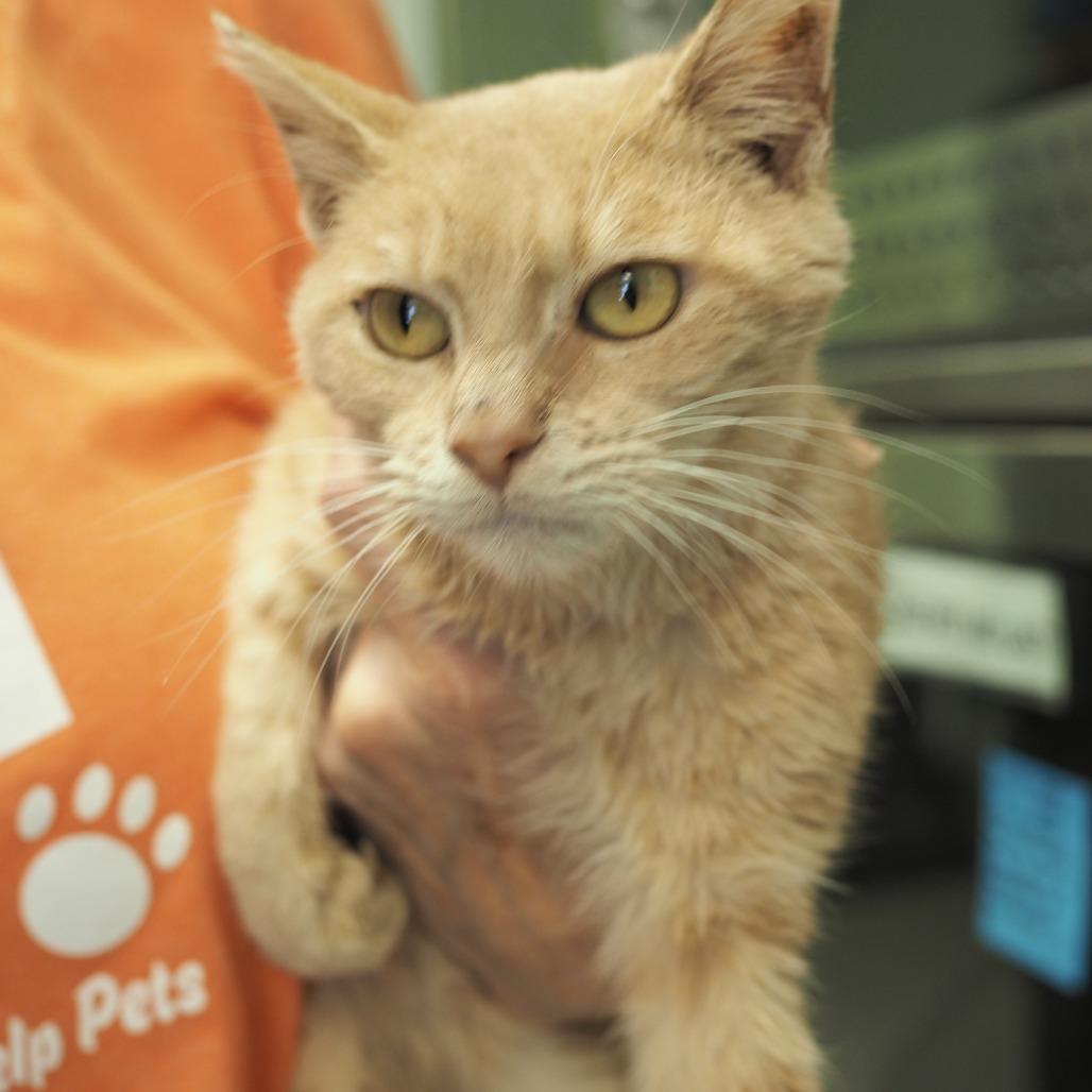 Gare Bear — thumbnail 5