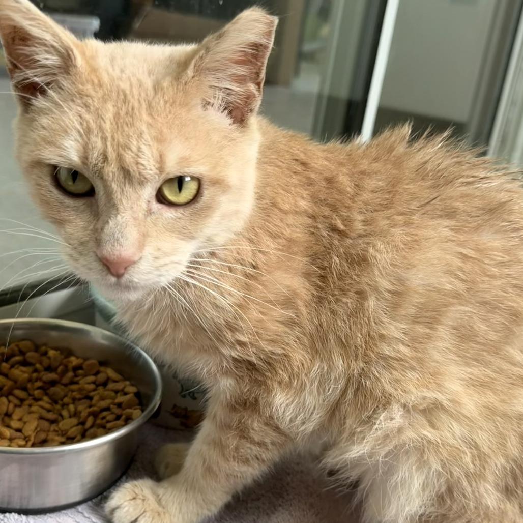 Gare Bear — thumbnail 6