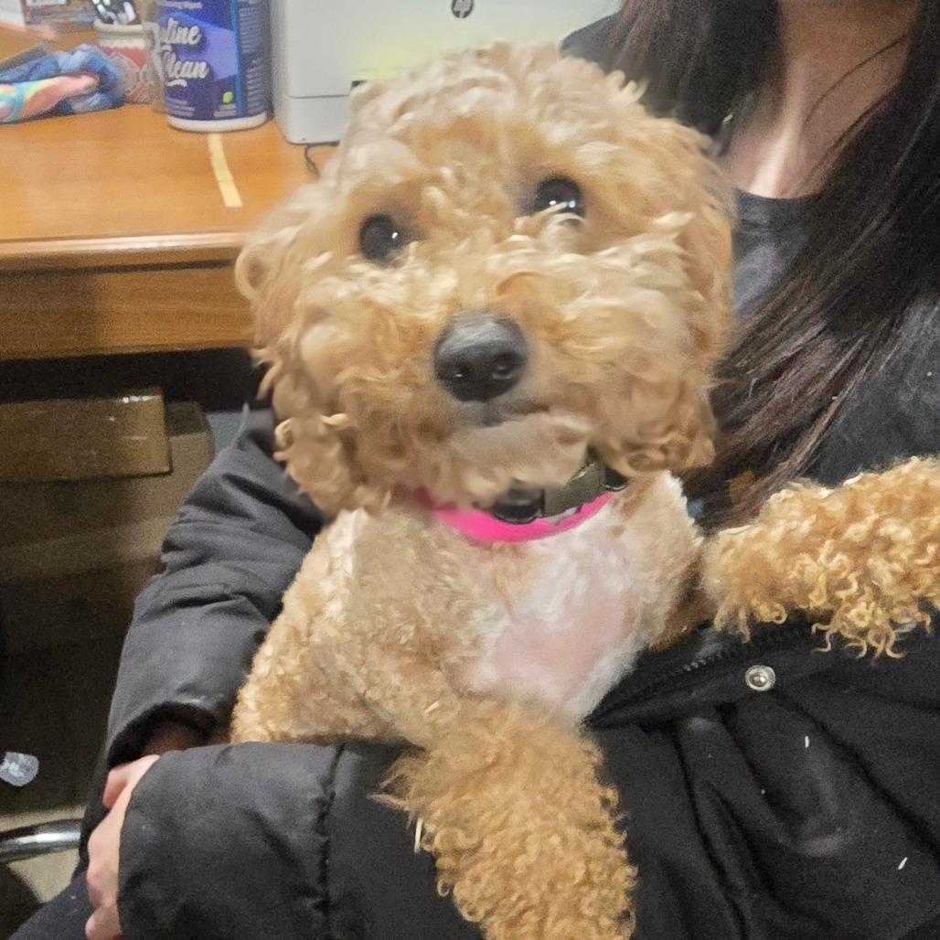 Brooke C thumbnail 2