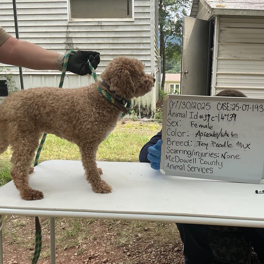 Brooke C thumbnail 3