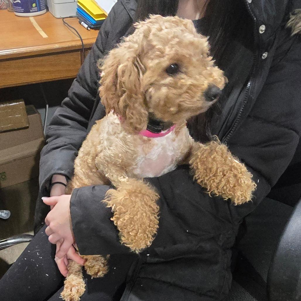 Brooke C thumbnail 4