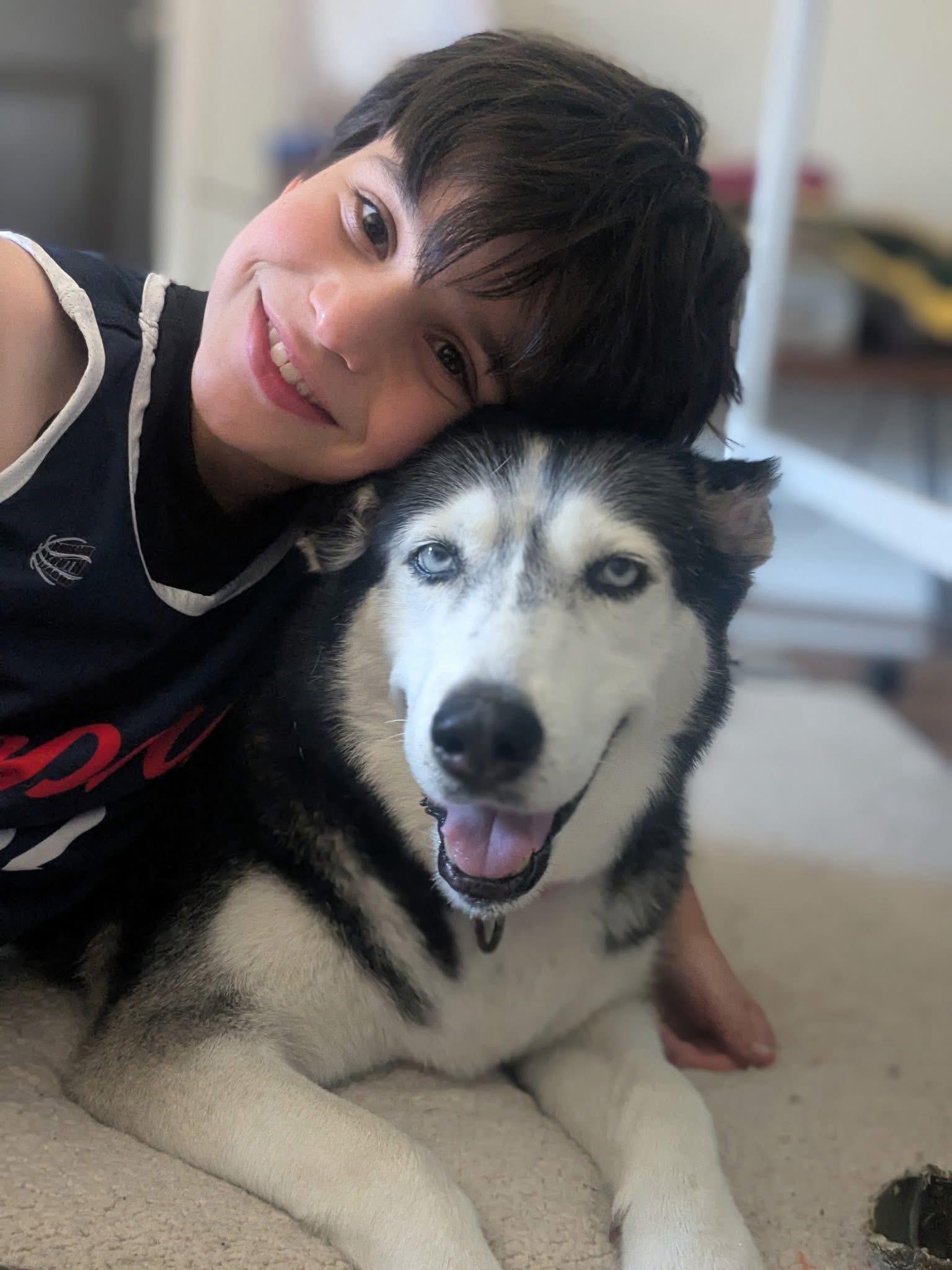 Enlarge Luna, an adopted Husky in torrance, CA image 4/6
