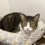 Carl — thumbnail 2