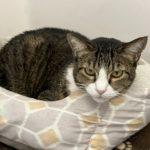 Carl — thumbnail 3