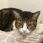 Carl — thumbnail 4