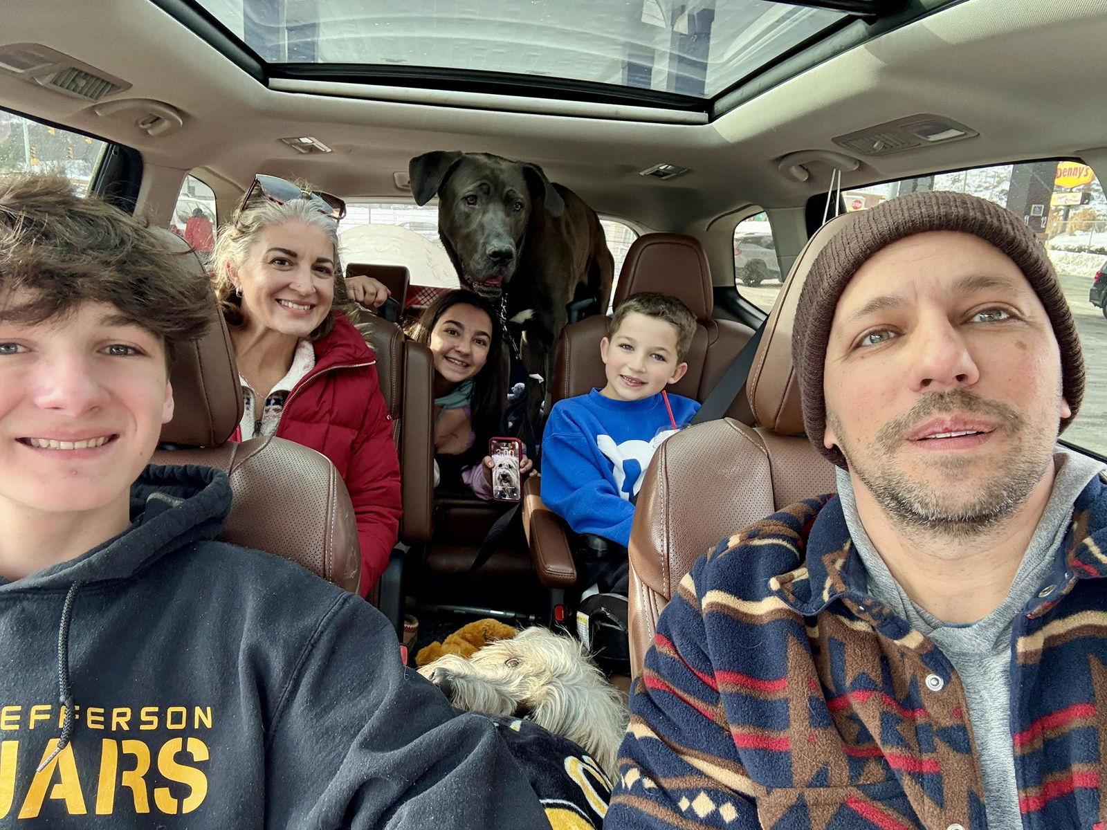 Enlarge Finley, a Adopted Great Dane in Chambersburg, PA image 3/3