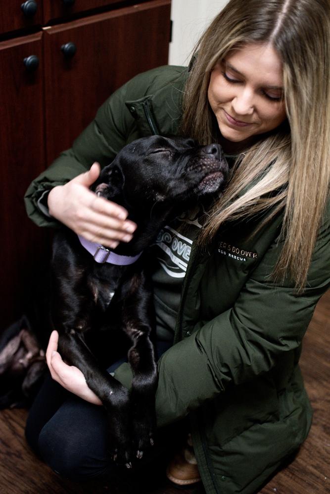 Enlarge Luna, a Adoptable mixed breed in Frankfort, NY image 4/4